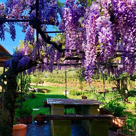 Montefabbrello * Magazzini (Tuscany)