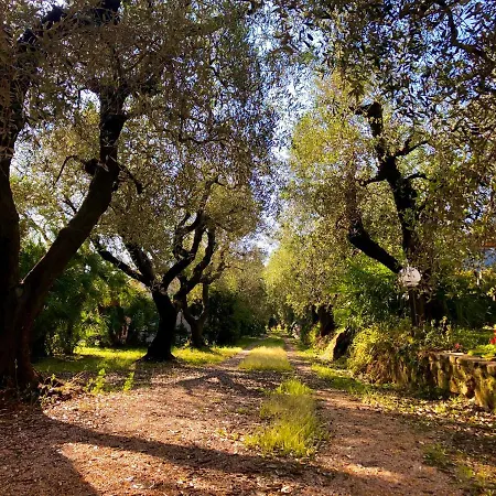 Bauernhof Montefabbrello Magazzini (Tuscany)